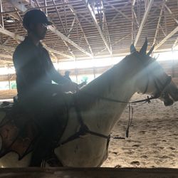 Barrington Equine Center - Indoor arena