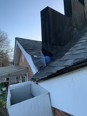 Above All Pest Control