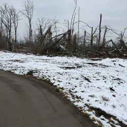 Celery Flats Canoe & Bicycle Livery - Trees damaged by tornado