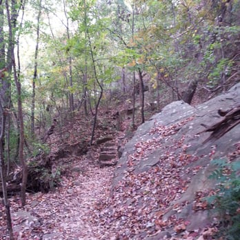 Signal Point - Beautiful fall leaves along the trail. - Hiking Near Me - Signal Mountain, Tennessee Signal Point - Beautiful fall leaves along the trail. - Hiking Near Me - Signal Mountain, Tennessee