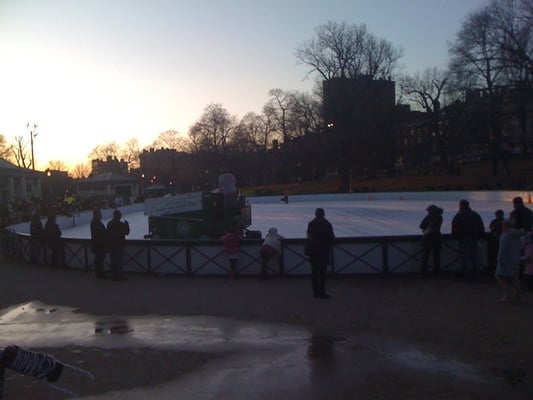 Boston Common Frog Pond by null