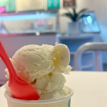 Vanderwende's - Coconut - Ice Cream & Frozen Yogurt Near Me - Philadelphia, Pennsylvania