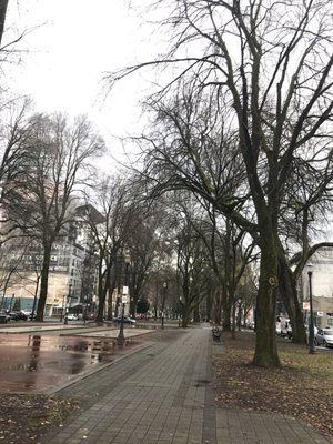 North Park Blocks by null