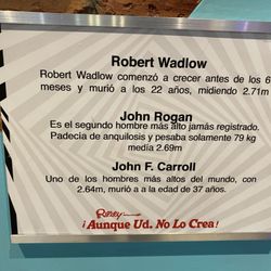 Museo de Ripley