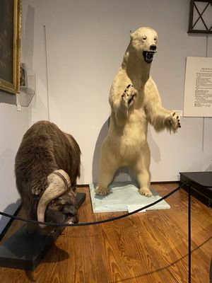 The Charleston Museum by null