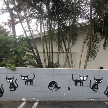 Howley's Restaurant - I want a cat wall. - Diners Near Me - West Palm Beach, Florida Howley's Restaurant - I want a cat wall. - Diners Near Me - West Palm Beach, Florida