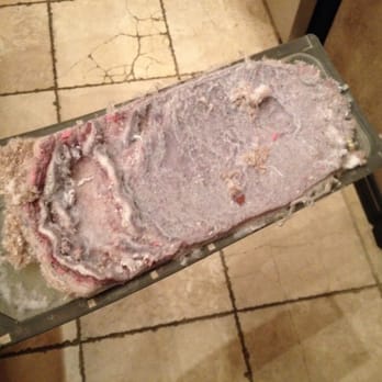 Big Bear Vacations - Dryer lint - when is the last time it got cleaned out!? Windsong Manor #906 - Vacation Rentals Near Me - Big Bear Lake, California Big Bear Vacations - Dryer lint - when is the last time it got cleaned out!? Windsong Manor #906 - Vacation Rentals Near Me - Big Bear Lake, California