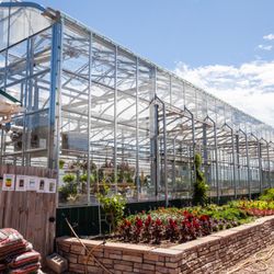 Shamrock Nursery