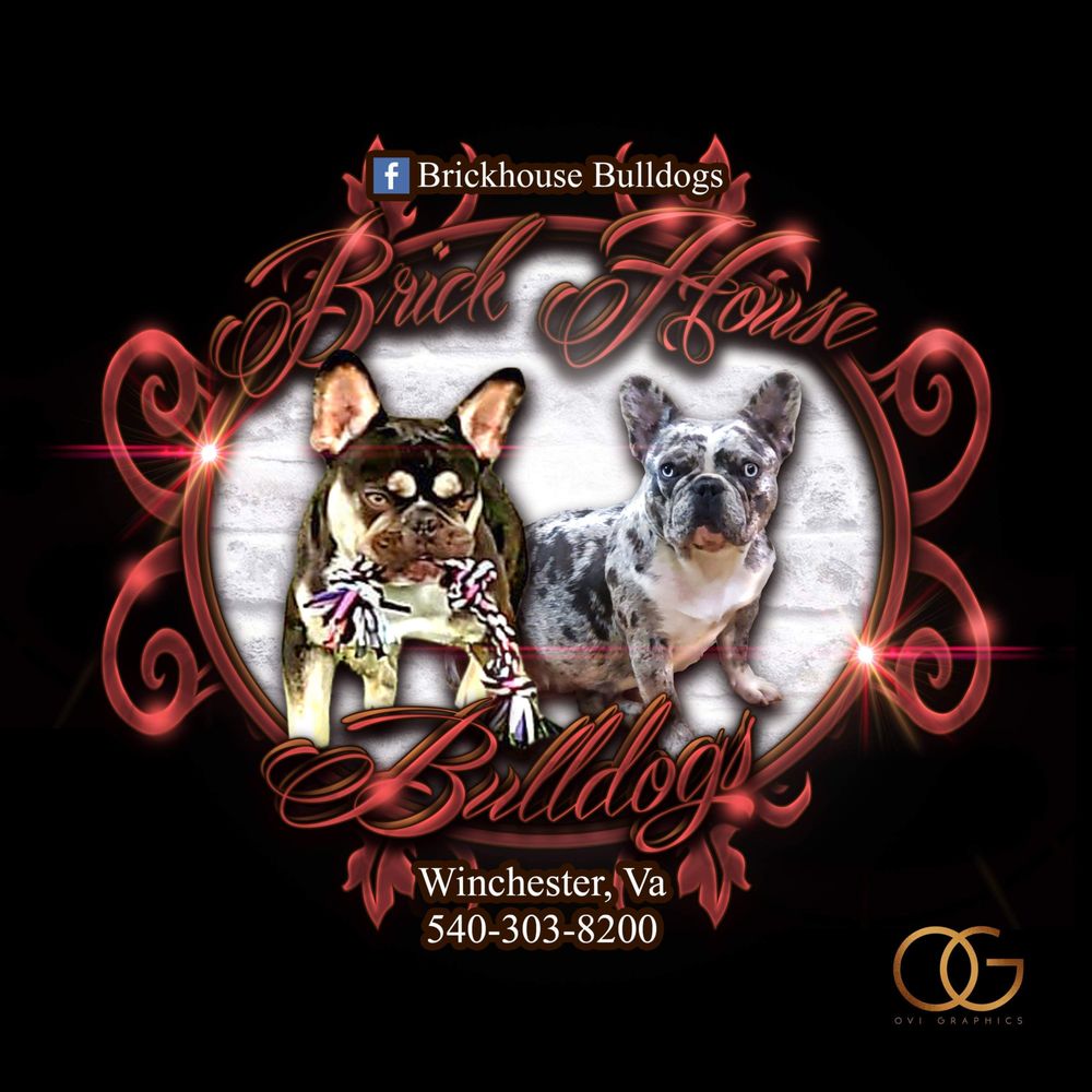 BRICK HOUSE BULLDOGS Updated May 2024 Request Information