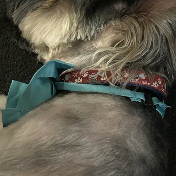 Le Paw Spa - Pet Groomers Near Me - Colorado Springs, Colorado Le Paw Spa - Pet Groomers Near Me - Colorado Springs, Colorado