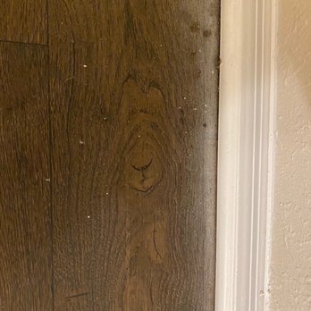 The Eli Winter Springs - Paint overspray that went around the entire living area and dining room - Apartments Near Me - Winter Springs, Florida