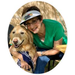 Home Dog Training Positively