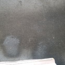 Laurey's Pizzeria - Destroyed carpets.