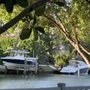 Photo of Muss Park