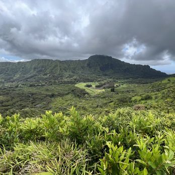 Aihualama Trail - Hiking Near Me - Honolulu, Hawaii