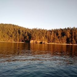 Island Adventures La Conner