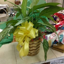Quick plant for a friend in the hospital.