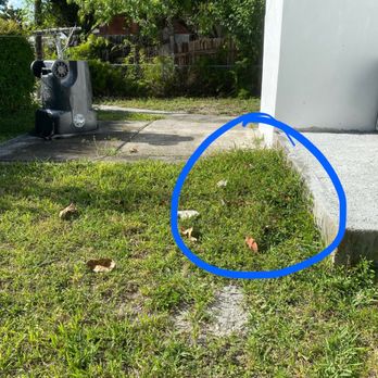 Tech 1 Landscaping - Patch of grass missed - Tree Services Near Me Tech 1 Landscaping - Patch of grass missed - Tree Services Near Me