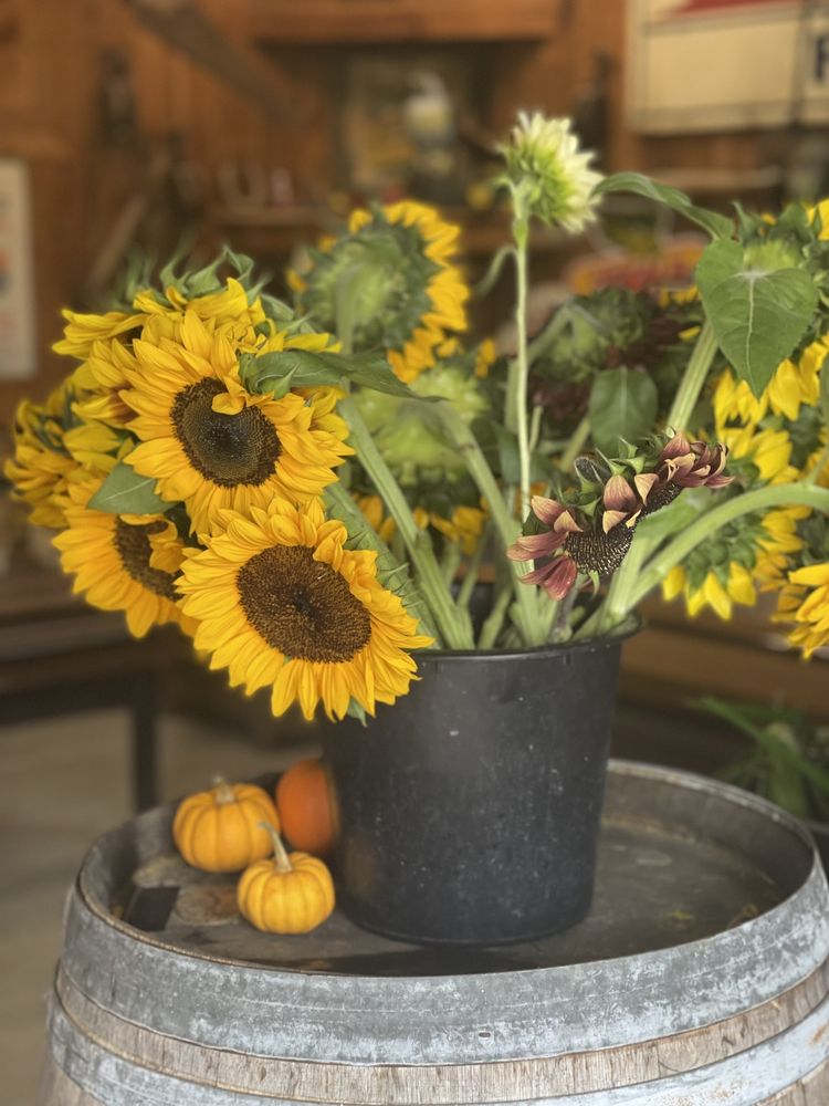 Hardy's Farm Market Logo