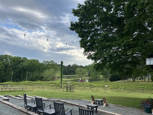 Treehouse Vineyards by null