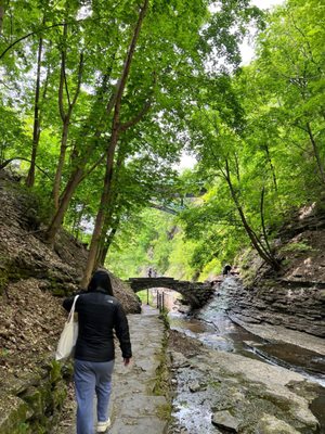 Cascadilla Gorge Trail by null