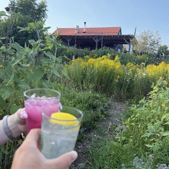 Sweet Pea's Cafe - Cocktails in the garden - Cafes Near Me - Bar Harbor, Maine Sweet Pea's Cafe - Cocktails in the garden - Cafes Near Me - Bar Harbor, Maine