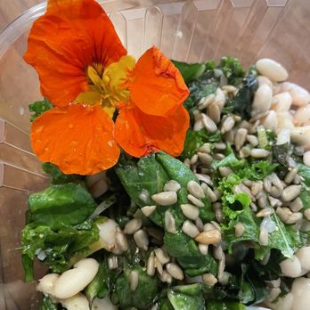 New City Cafe - Salad - Pizza Near Me - Grand Rapids, Michigan
