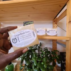 Zambo Aroma - If I took a pic of a soap, it's because I really liked the smell