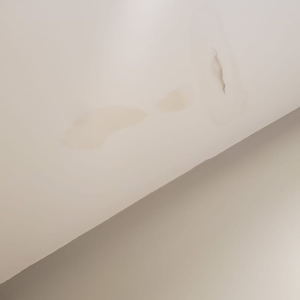 Bonner Built - Wet spots on ceiling - Roofing Near Me - Roswell, Georgia