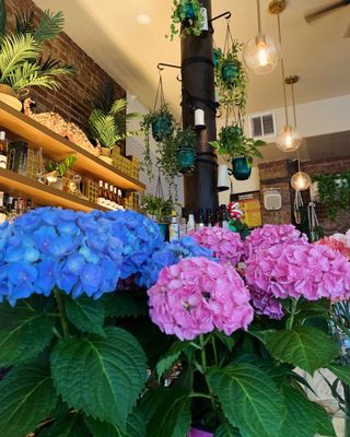 The Red Stache by null