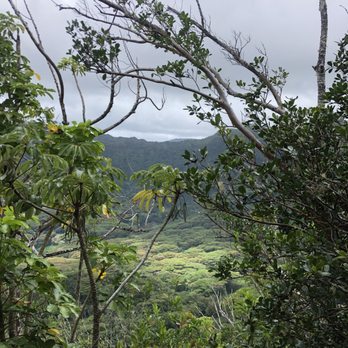Kolowalu Trail - Viewzzz - Hiking Near Me - Honolulu, Hawaii Kolowalu Trail - Viewzzz - Hiking Near Me - Honolulu, Hawaii