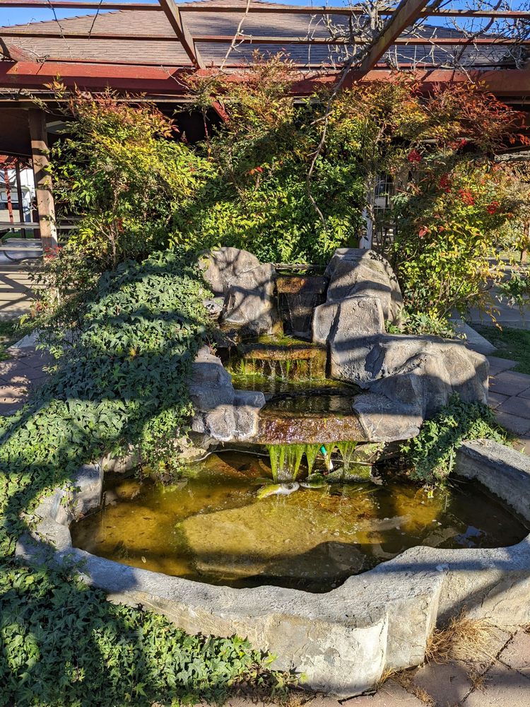 VINEYARD RV PARK Updated May 2024 21 Photos & 44 Reviews 4985