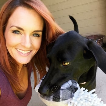 Coastal Pet Sitters - Dog Walkers Near Me