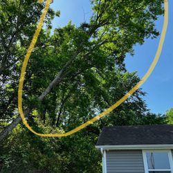 Killian's Tree Service - Massive branch over house, taken down without incident or any damage.