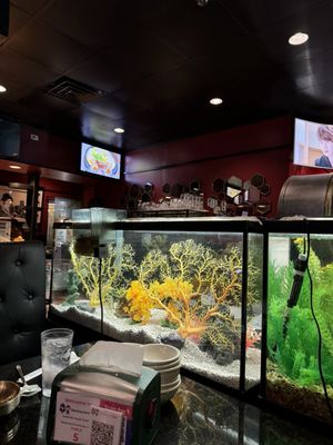 Restaurant Silla - Authentic Korean Cuisine by null