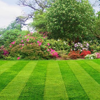 4 Seasons All Outdoor - Rain or shine we're there for our customers. - Landscaping Near Me - Georgetown, Kentucky 4 Seasons All Outdoor - Rain or shine we're there for our customers. - Landscaping Near Me - Georgetown, Kentucky