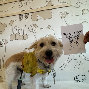 Woofboard - Instagram-worthy photo wall. Many more photos to come! - Pet Stores Near Me - Campbell, California Woofboard - Instagram-worthy photo wall. Many more photos to come! - Pet Stores Near Me - Campbell, California