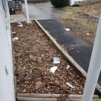 Property Pro Realty Group - Trash, poor landscaping care. - Real Estate Agents Near Me - Clifton Park, New York Property Pro Realty Group - Trash, poor landscaping care. - Real Estate Agents Near Me - Clifton Park, New York