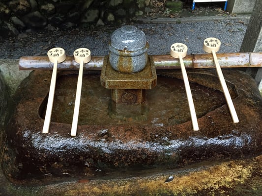Senbon Torii (Thousand Torii Gates) by null
