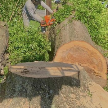 Three People Tree Services - Tree Services Near Me