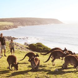 Belle Vie Travel - Australia Family Adventure.
