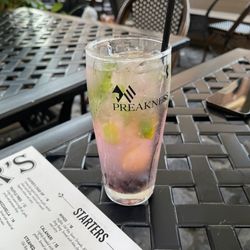 Blueberry Mojito