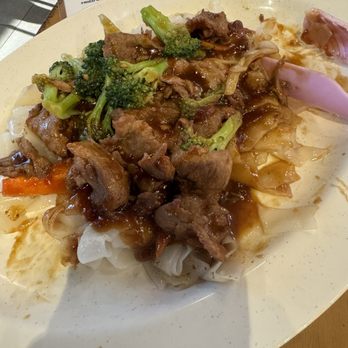 Hi Trendy Dumpling - Beef and broccoli noodles - Hi trendy dumpling, Houston - Szechuan Near Me - Houston, Texas