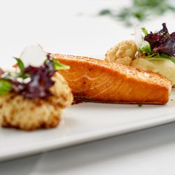Root98 - Shiromiso Salmon