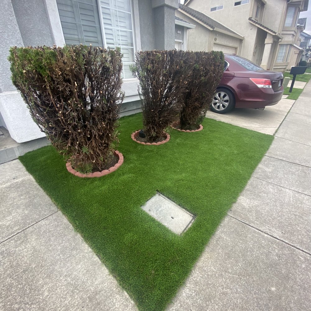 TOP 10 BEST Lawn Mowing Service in Pleasanton, CA - Updated 2025 