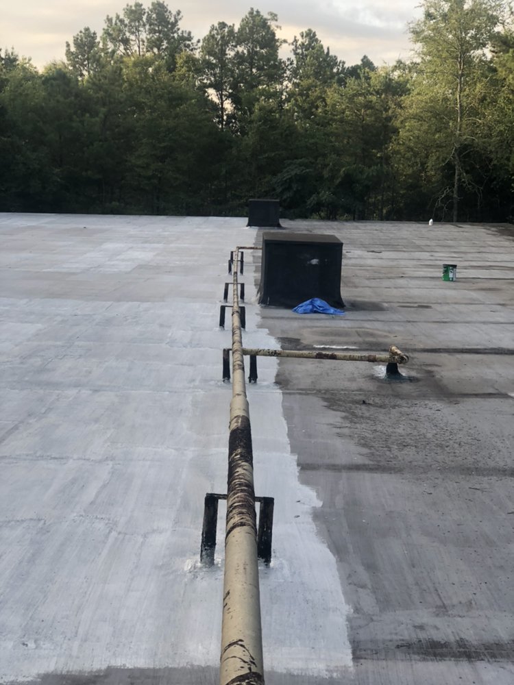 Slide of Alpha Coating