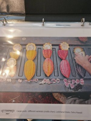 LetterPress Chocolate by null