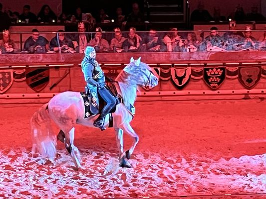 Medieval Times Dinner & Tournament by null