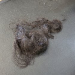 3 years worth of growth