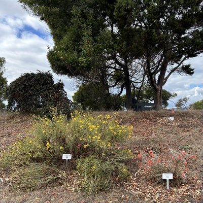 Cesar Chavez Park by null